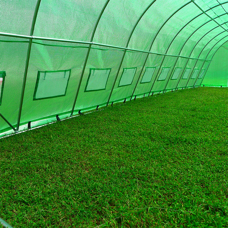 Nhà kính Polytunnel hạng nặng lớn 4x10x2,3m