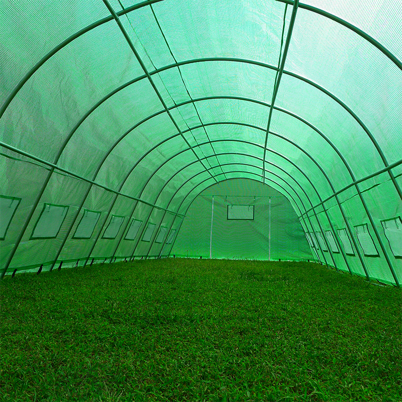 Nhà kính Polytunnel hạng nặng lớn 4x10x2,3m