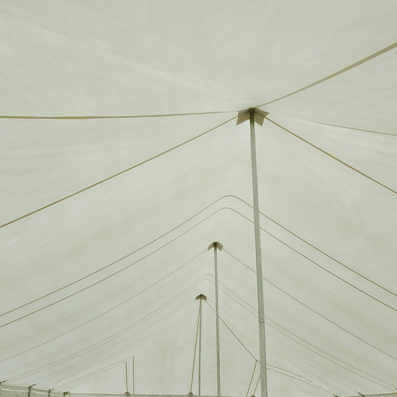 Lều cực sự kiện PVC truyền thống 7X12m có Windows